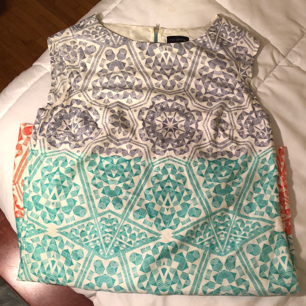 The Limited Size Small Geometric Shift Dress